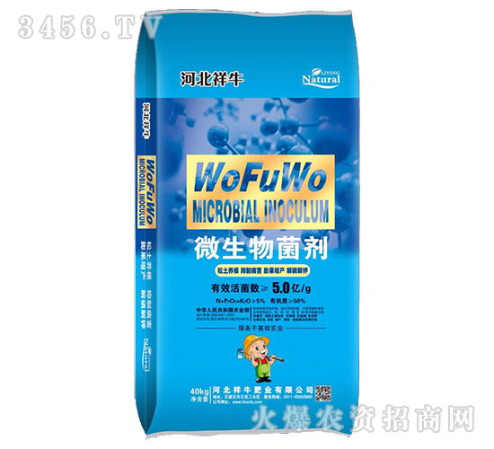 5�|΢�������-������(y��u)��(y��u)-��ţ�ʘI(y��)