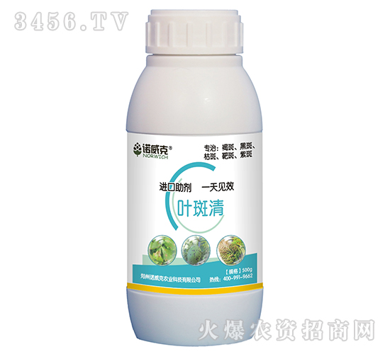 �~����-�Z����