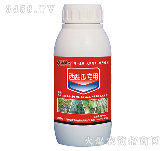 ����ό���-�Z����