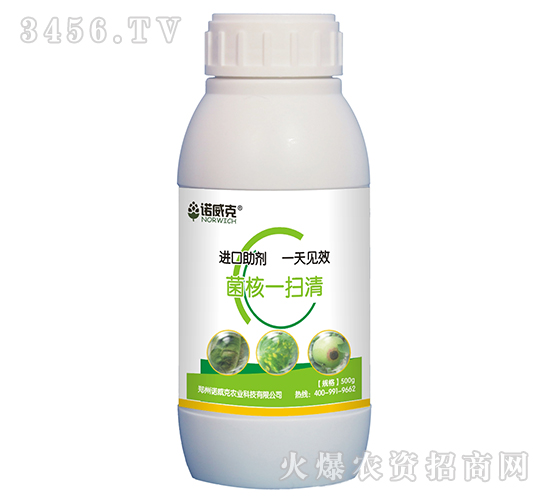 ����һ����-�Z����