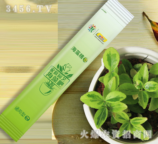 ���徫-��������