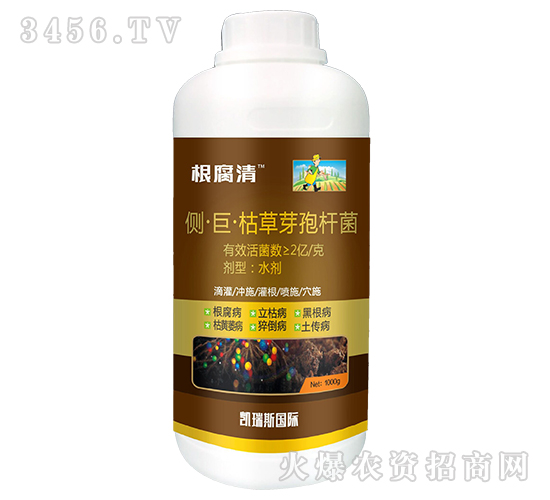 �ȡ��ޡ��ݲ�ѿ�ߗU��-������-�P��˹