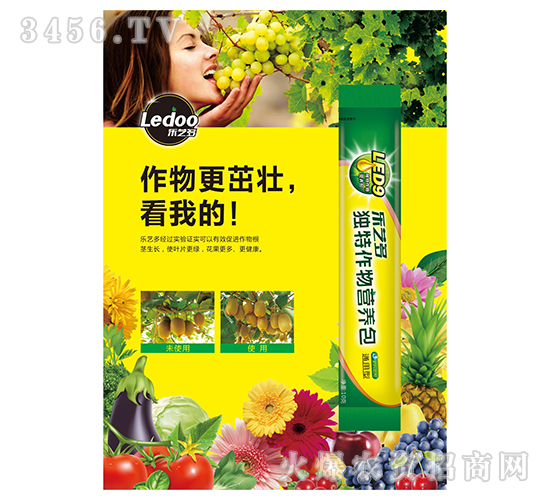 ��(d��)������I�B(y��ng)��-��ˇ��