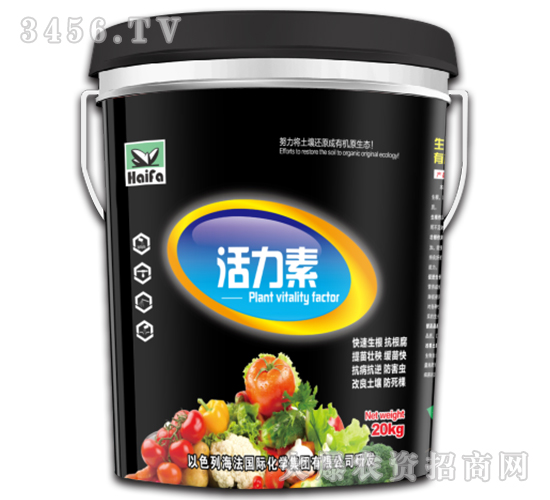 ������-����-�������H