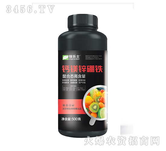 ���ϑB(t��i)�ߺ����}�V�\���F-�ژ�ʿ-�֠���