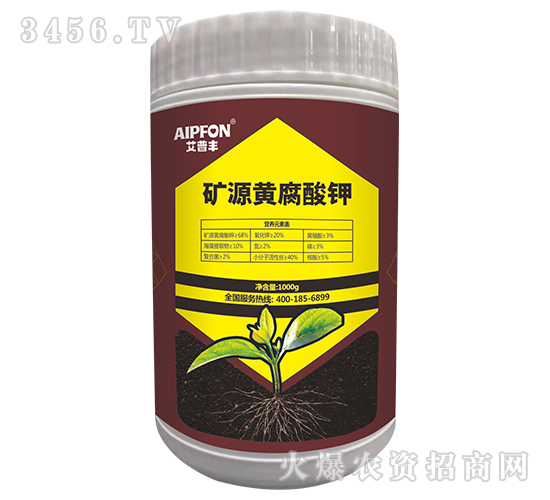 �VԴ�S�����-�����S