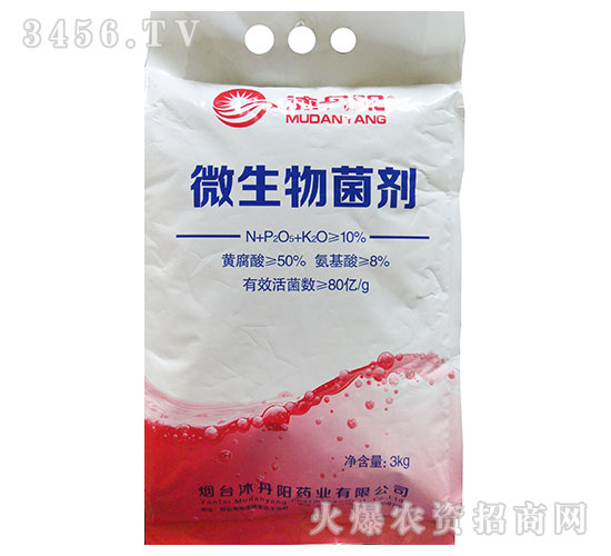 ΢�������-�嵤�(y��ng)