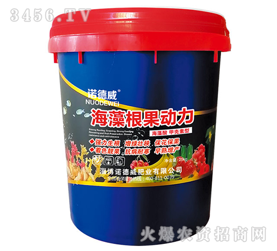 ���������(d��ng)��-�Z����