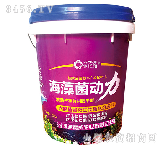 �������(d��ng)��-�Z����