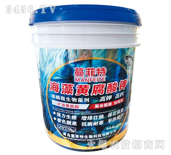 �����S�����-������-�Z����