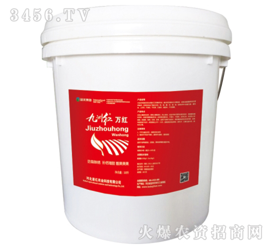 ���޼t�f�t-�{(l��n)������