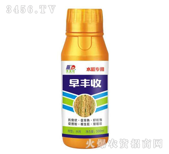 ���S��-ˮ������-���~����