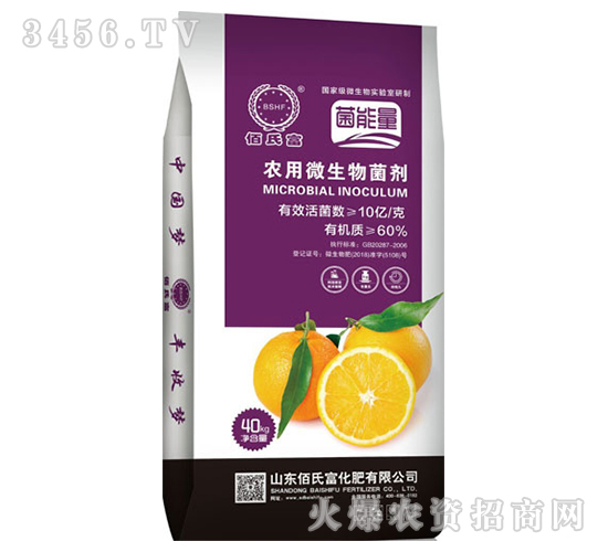 �r��΢�������-���ʌ���-���ϸ�