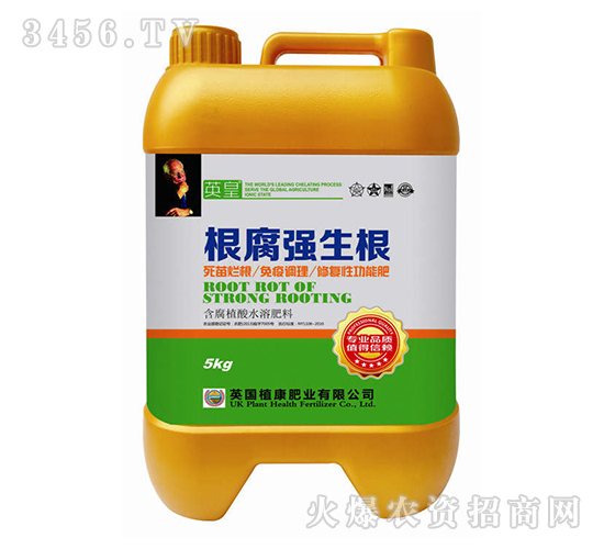 ����������-Ӣ��-�L�S