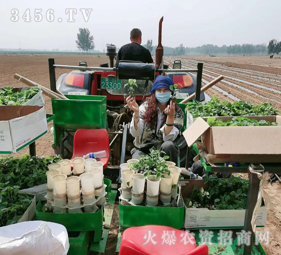 2020��鱘�ӆ�λ����Ŀ9