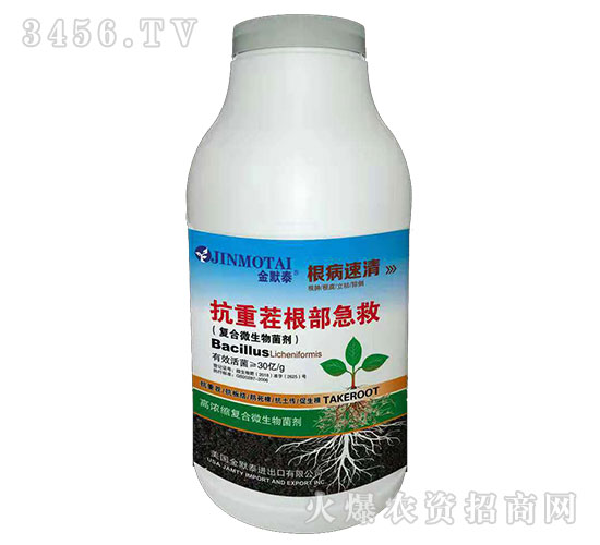 ���ز��������-��������-��Ĭ̩