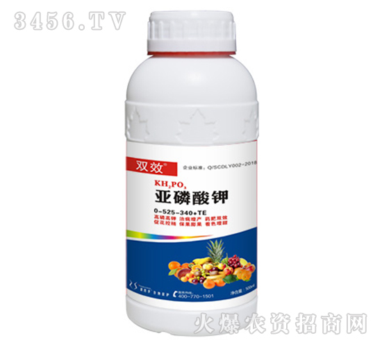 �������-�pЧ-ʢ�ļ�