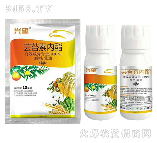 0.01%�|̦�؃�(n��i)������-�d��-ʢ�ļ�