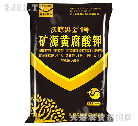 �VԴ�S�����-���L�ڽ�