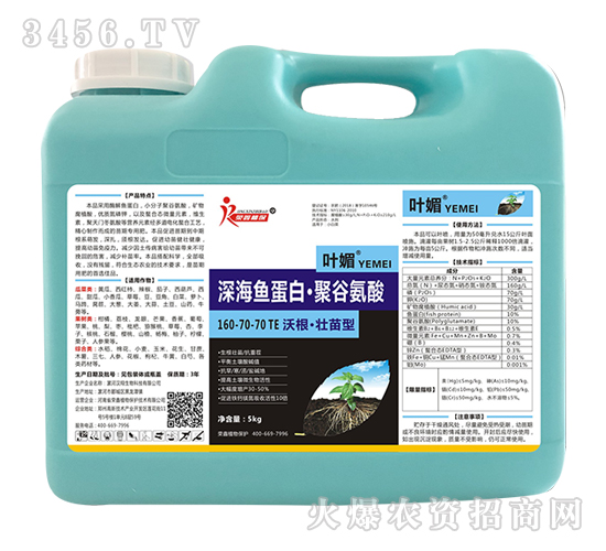 �ָ�����������~(y��)���ס��۹Ȱ���160-70-70+TE-�~��-�s��