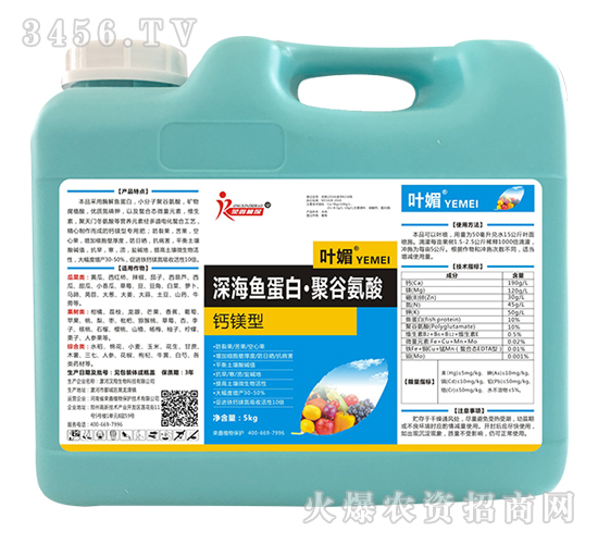 �}�V����~���ס��۹Ȱ���-�~��-�s��