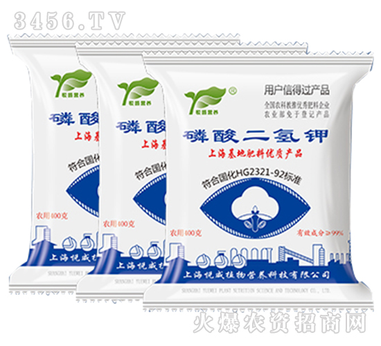 ��������-����