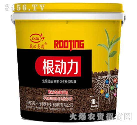 ����(d��ng)��-���R