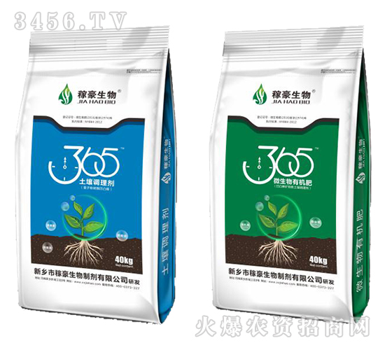 365�����{�턩-�ں�����