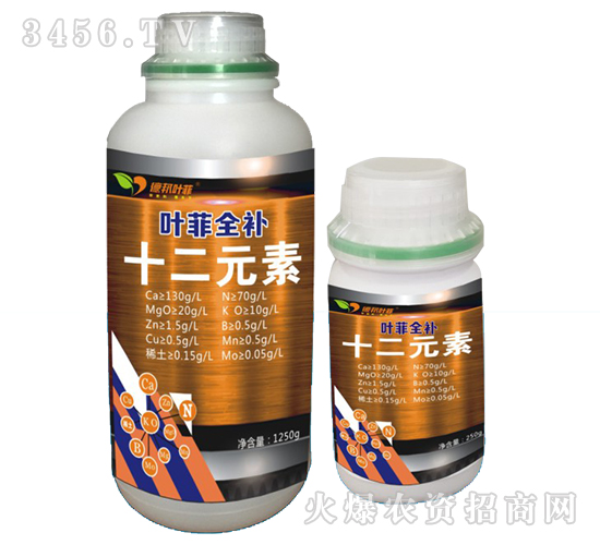 ʮ��Ԫ��-�~��ȫ�a-�°��~��