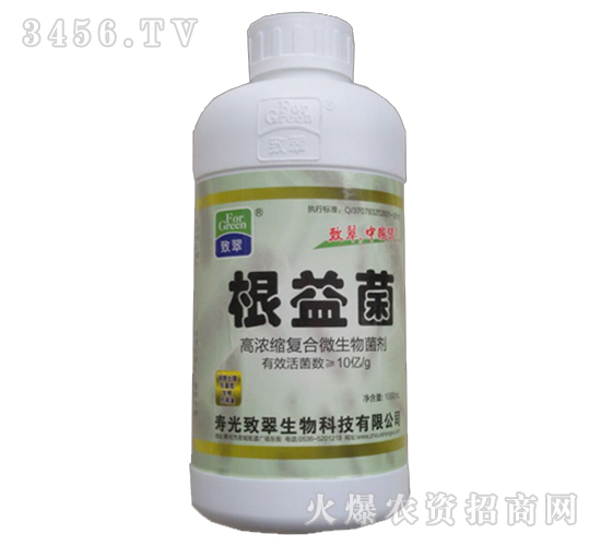 �ߝ�s�ͺ�΢�������-�����-�´�����