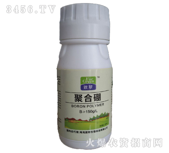 �ۺ���-�´�����