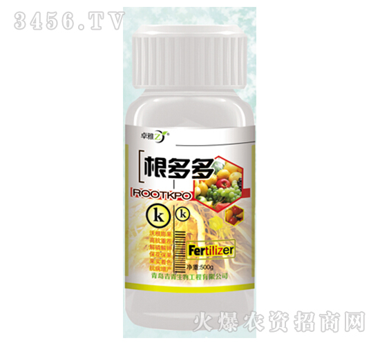 �����-׿��-����