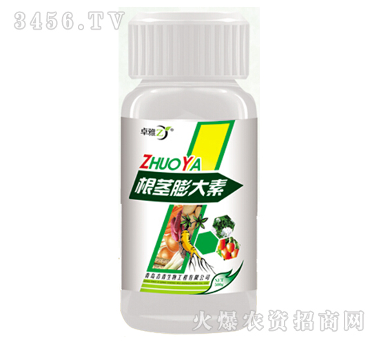 ���o�����-׿��-����