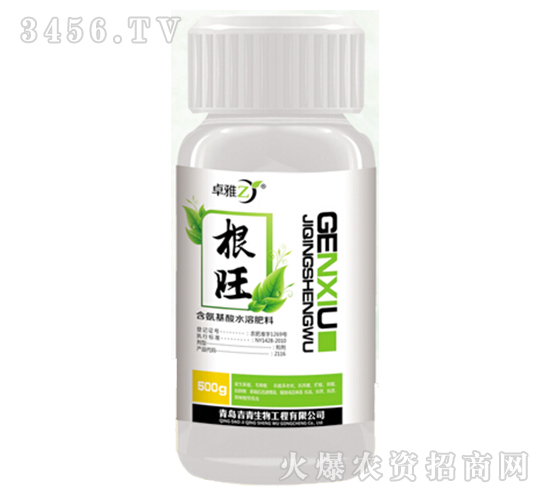 ����-׿��-����