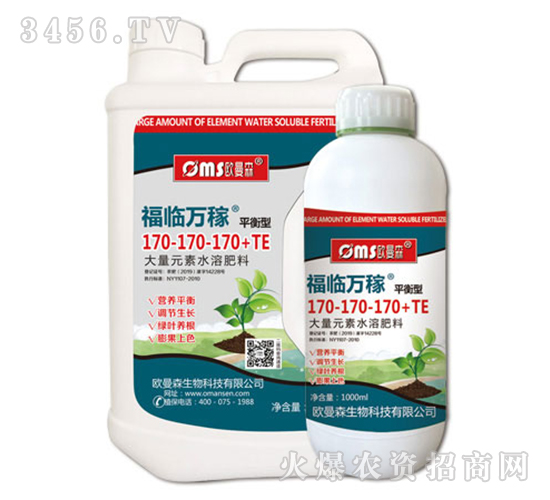 ���R�f��170-170-170+TE-ƽ����-�W��ɭ