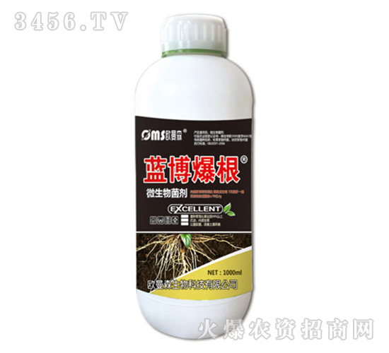 ΢�������-�{������-�W��ɭ