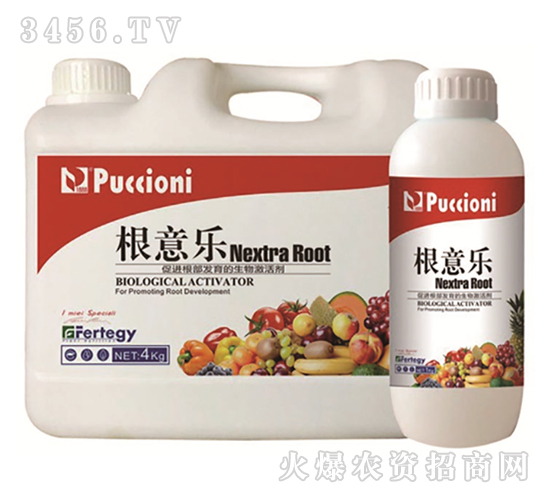 ���Ｄ�-���☷(l��)-����ؐ��