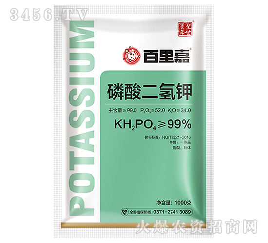 ��������-�����-ʥ���S