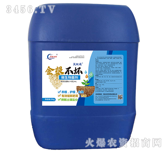 ΢�������-�������-�S�T�ʘI(y��)