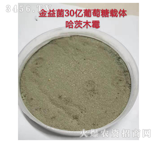 哈茨木霉菌-金益菌-金山微生物