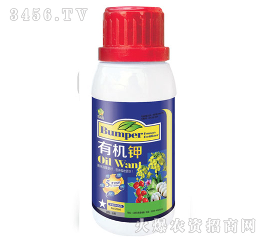 �ЙC(j��)�-�S�A�ʘI(y��)