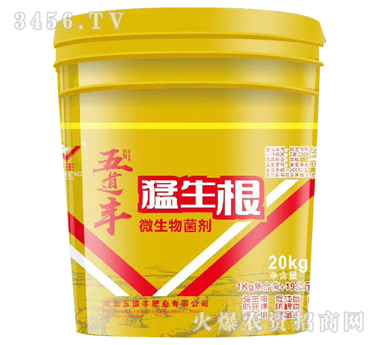 ΢�������-������-����S