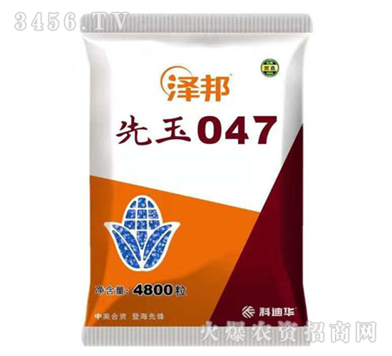 先玉047-澤邦-山西農(nóng)資