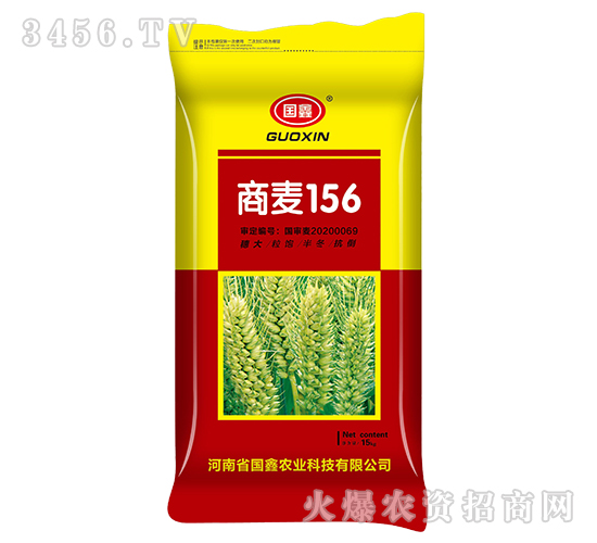 商麥156-小麥種子-國(guó)鑫