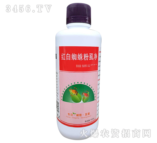 �t��֩���ʭ��-����ɭ