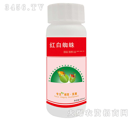 �t��֩����΄�-����ɭ