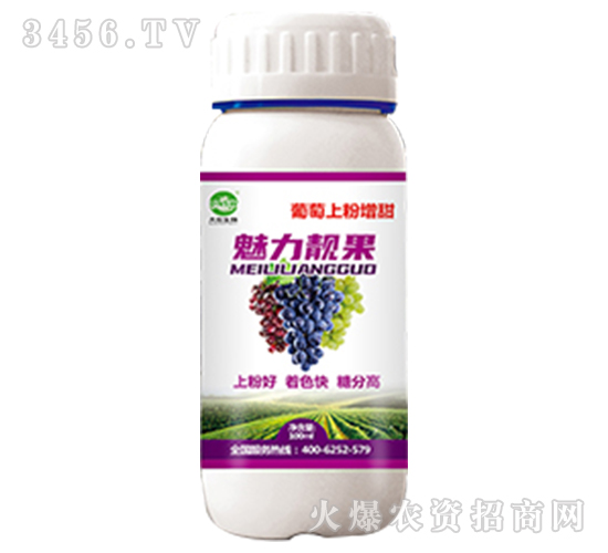 �����Ϸ���ɫ-�����n�t-�����Ϸ���ɫ-���r(n��ng)����