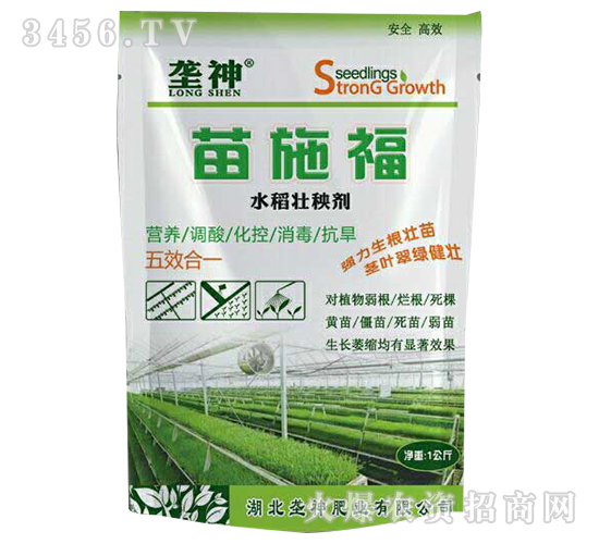 ˮ�����턩-��ʩ��-����