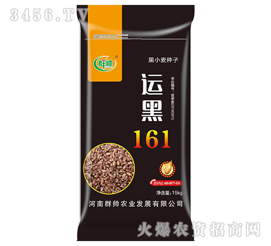 運黑161-黑小麥種子