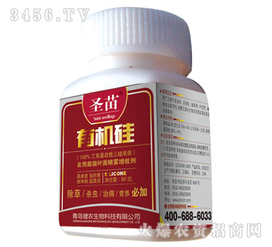 �ЙC��-ʥ��-���r(n��ng)����